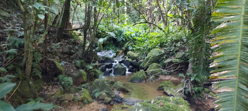Sítio - Venda - Várzea das Canoas - Gravatal - SC